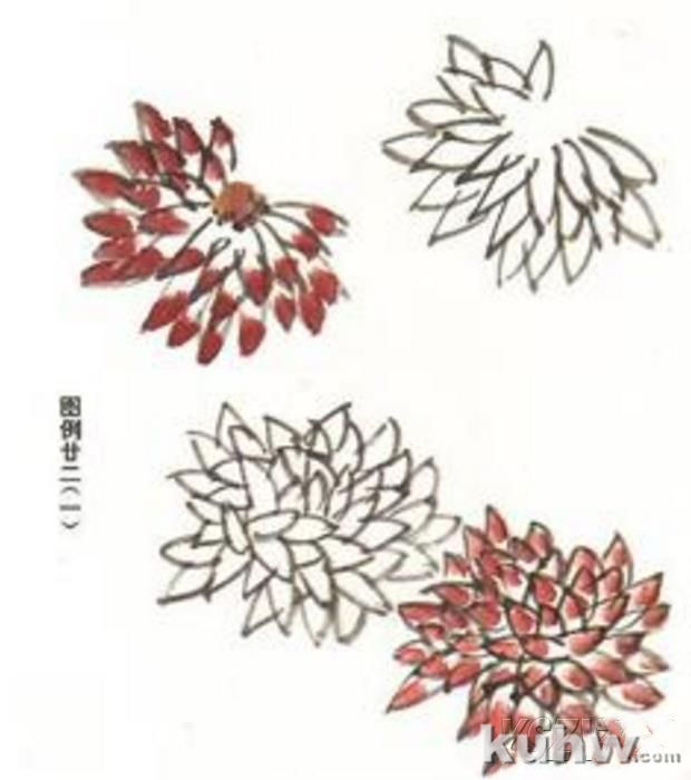 国画入门：菊花的简单画法