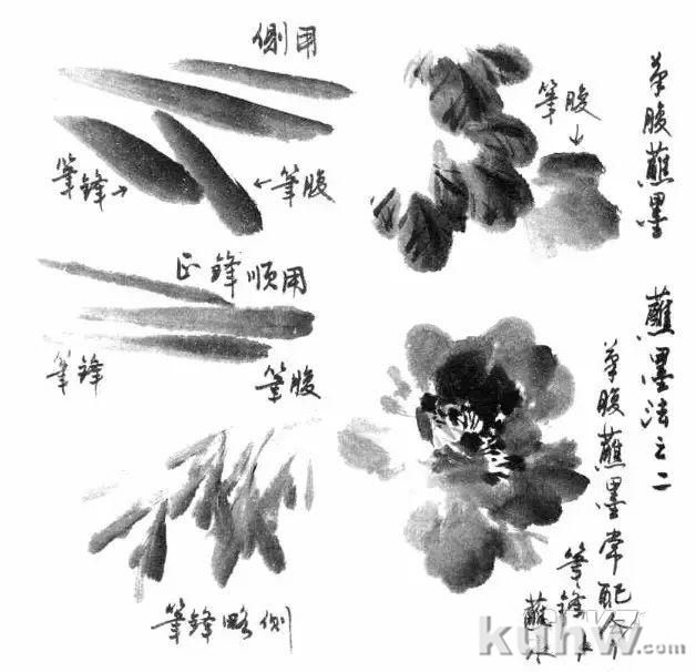 如何画好写意花鸟画？