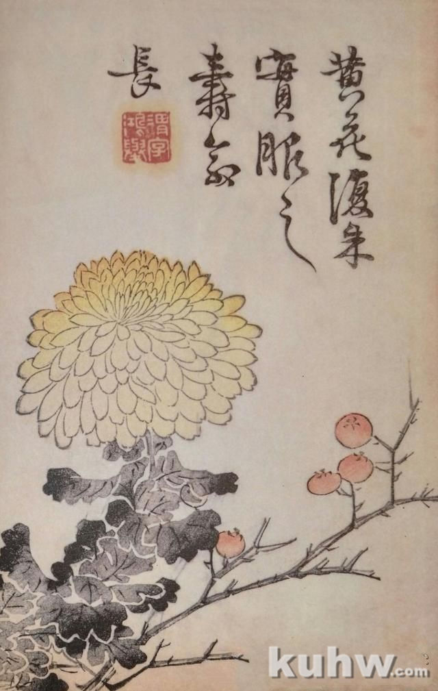 清前名家26种墨菊搭配画法之三，15幅画每天轻松学