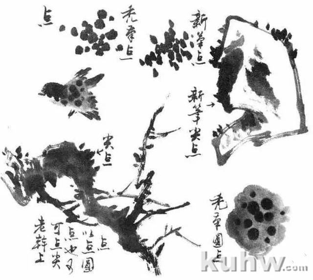 写意花鸟画笔墨技法：笔锋使用详解