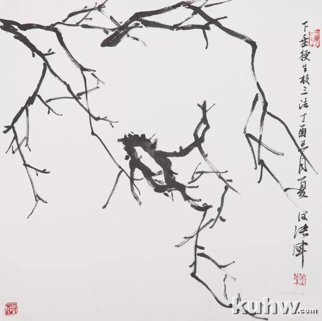 张晖教你画梅花：枝干原来很好画！