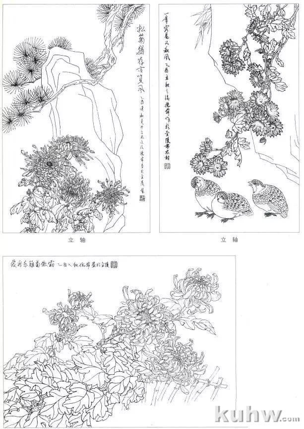 工笔菊花画法解析，太详细了