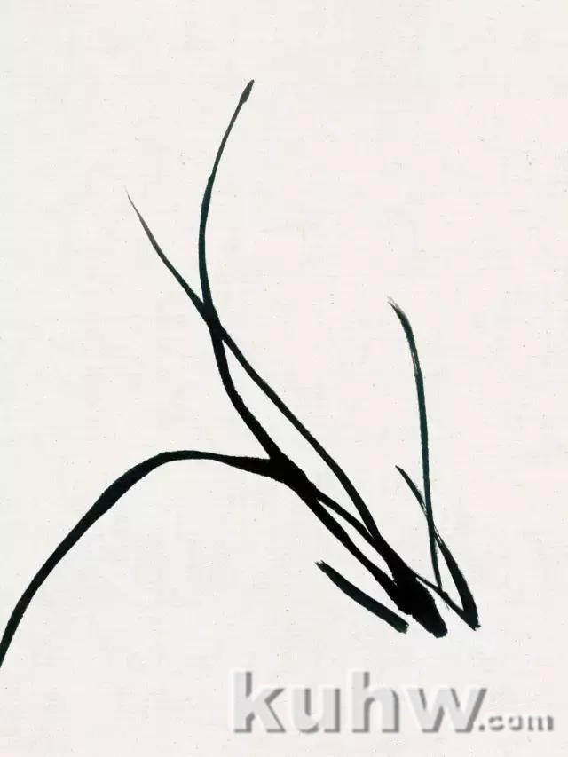 梅兰竹菊，紫藤，牡丹的步骤画法