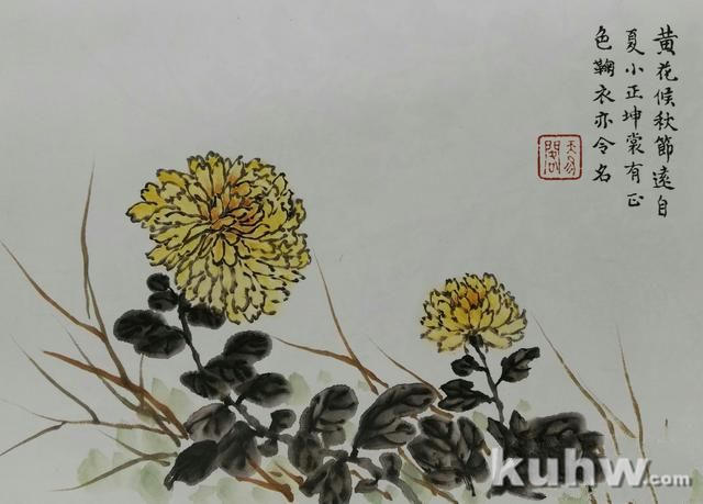 清前名家26种墨菊搭配画法之三，15幅画每天轻松学