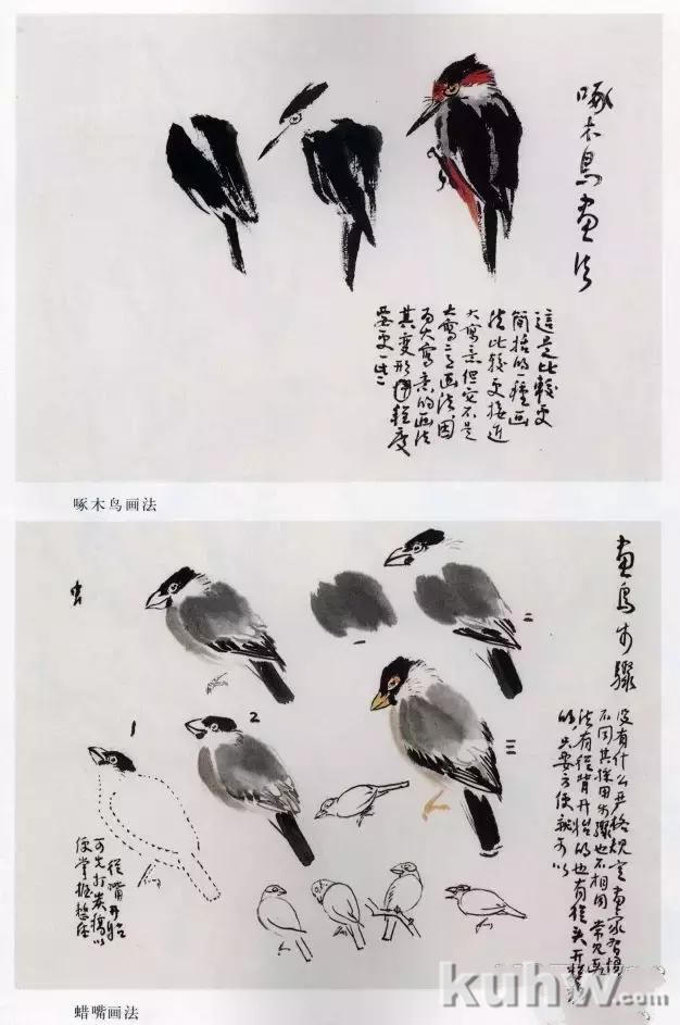 小鸟画法