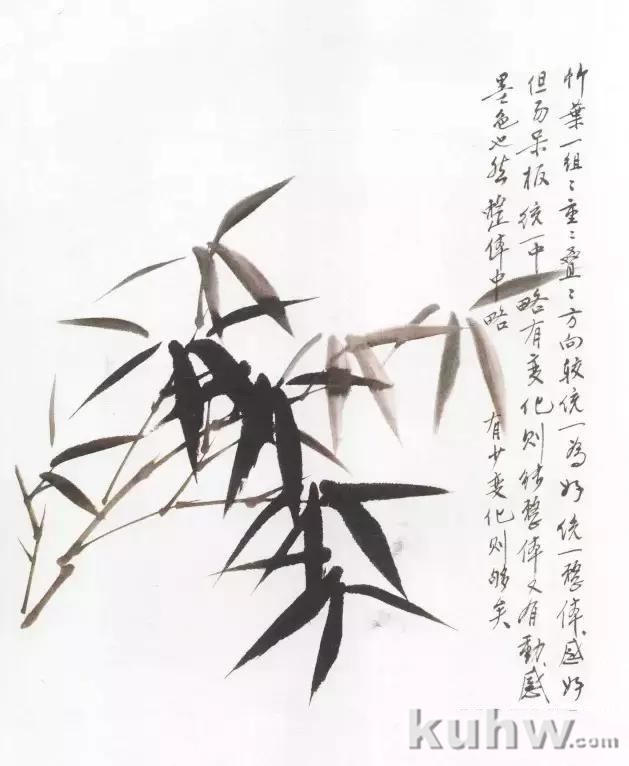 方楚雄画竹技法步骤图，《芥子园画谱》墨竹技法阐释，比郑板桥还会画竹的教程？