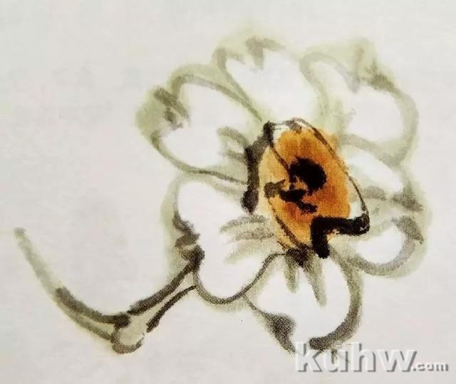 国画之水仙花花头的各种造型，水仙花头的画法步骤