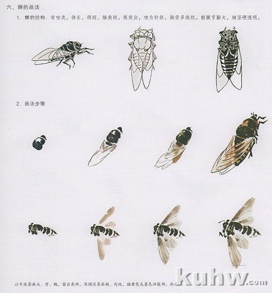 中国国画花鸟技法~几种虫儿的画法
