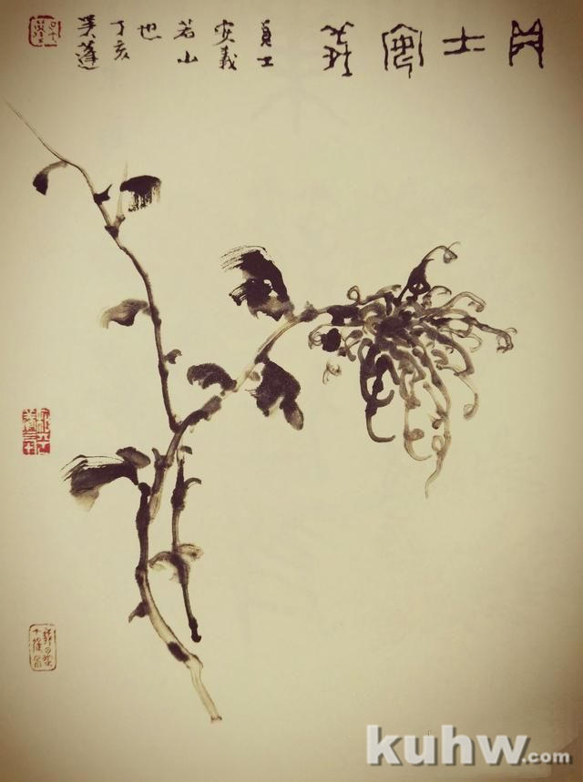 画菊花第三个步骤：攒顶尖瓣花，文末附菊花作品