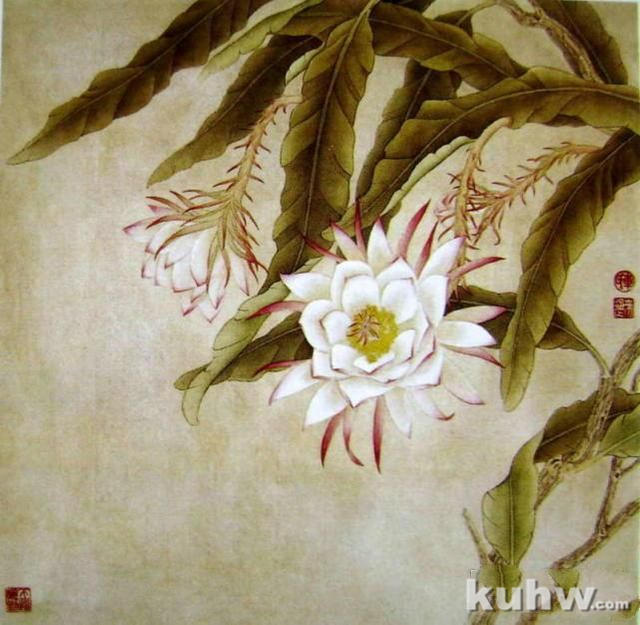 中国工笔花鸟绘画教程，工笔画各种技法画法步骤讲解，工笔白描稿！