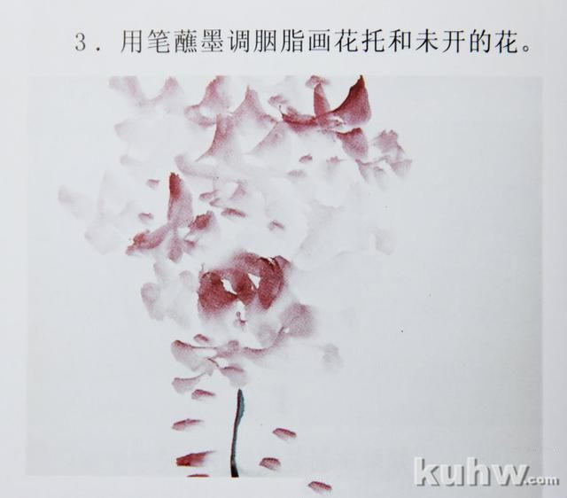 辛老师《花鸟画特技28法》