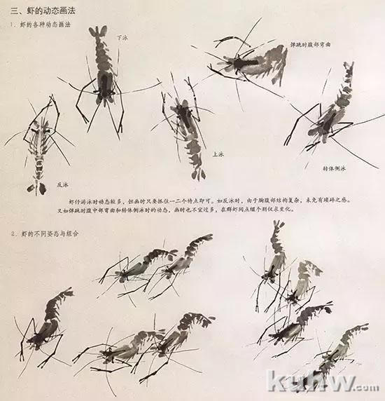 国画花鸟技法：几种虫儿的画法