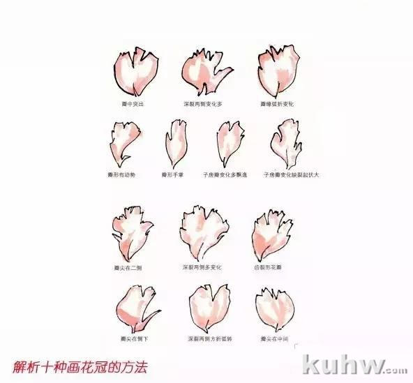 王宣明：新编画牡丹十招，太管用啦！