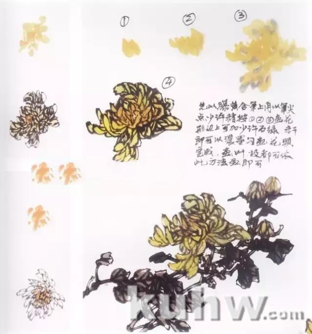 写意画菊花的画法教程