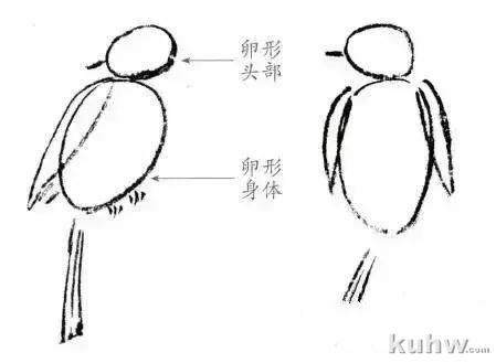 国画教程：国画花鸟扇面步骤详解