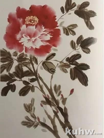 牡丹花应该怎样画，马延更老师告诉你