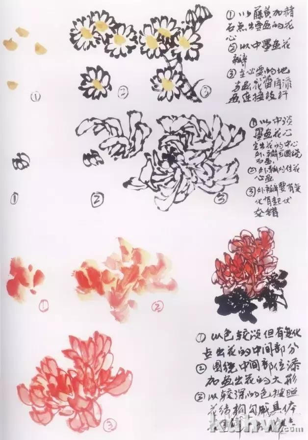 水墨画菊花的画法图文教程，水墨菊花创作技法步骤示范