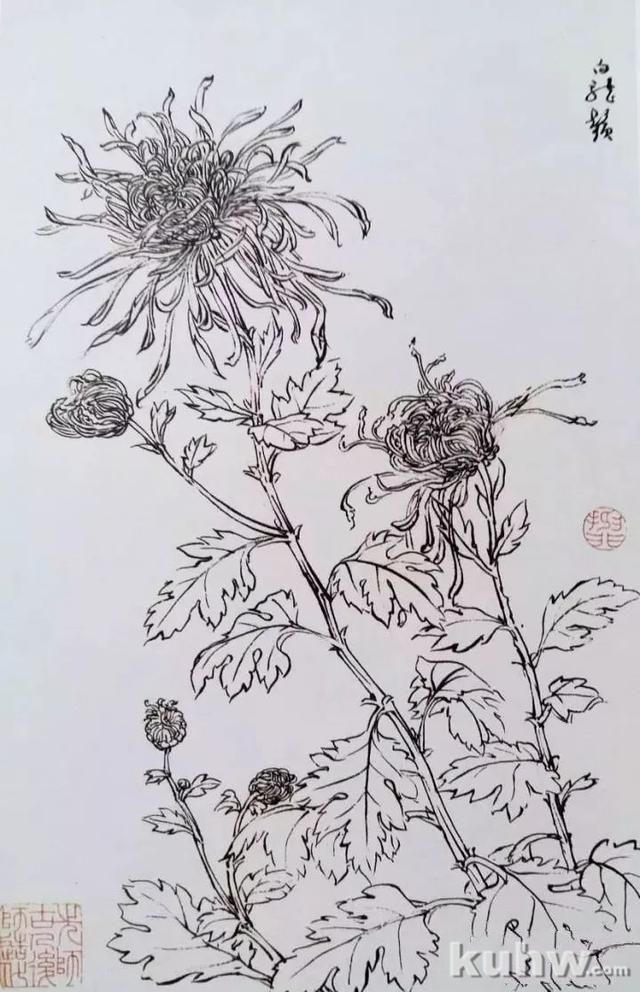 名师课徒稿：跟着陆抑非学画花卉！