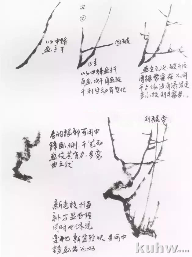 水墨画菊花的画法图文教程，水墨菊花创作技法步骤示范