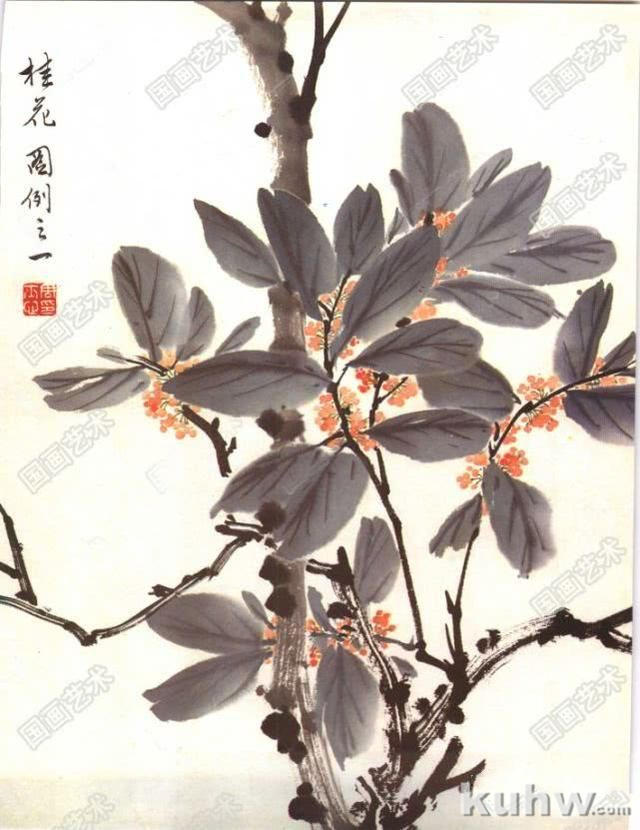 怎样画桂花，国画桂花的画法步骤