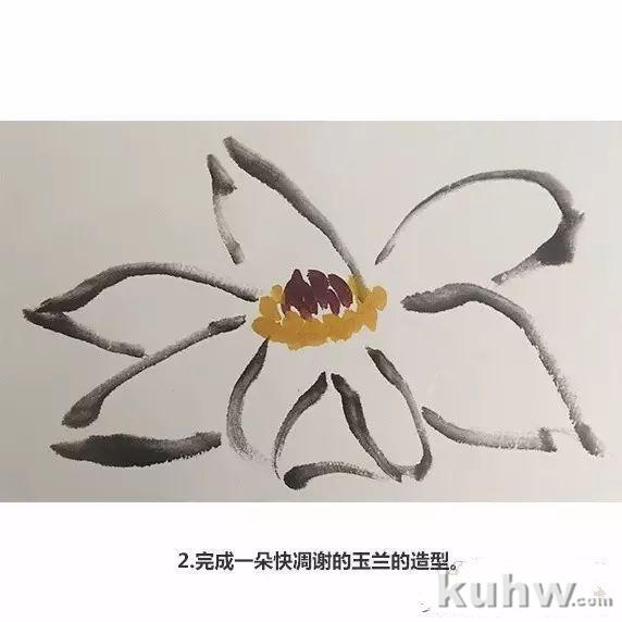 入门教程丨玉兰的画法