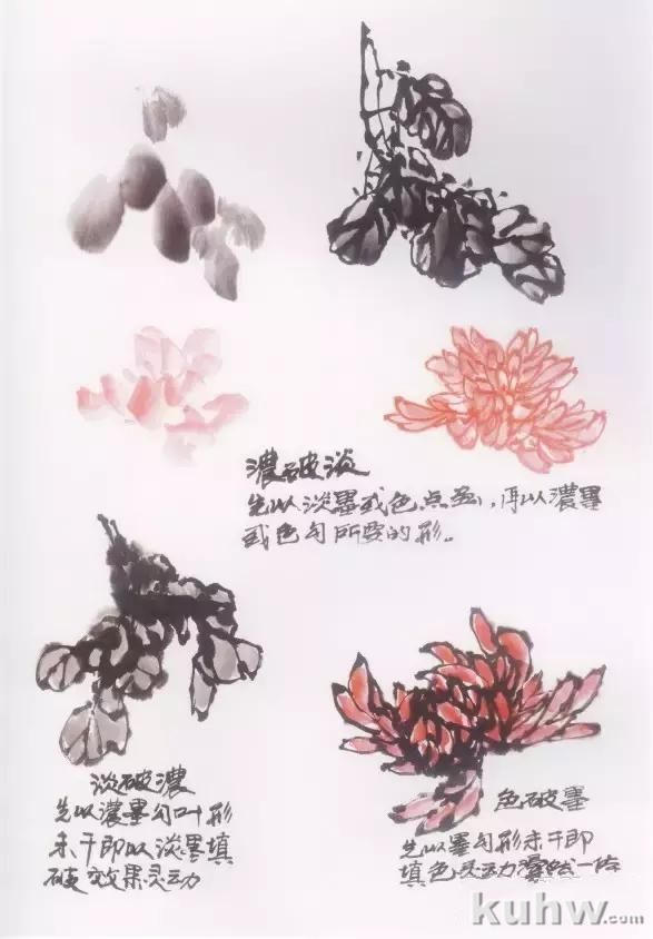 水墨画菊花的画法图文教程，水墨菊花创作技法步骤示范