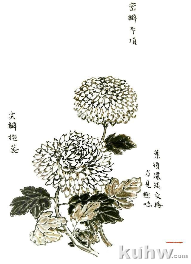 九种勾勒花头和枝叶的技法，画墨菊的最后步骤图