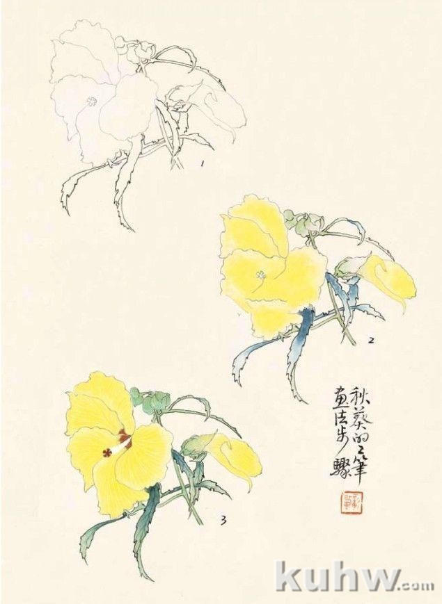 工笔花鸟的着色步骤与技巧，工笔花卉画法设色技法步骤示范