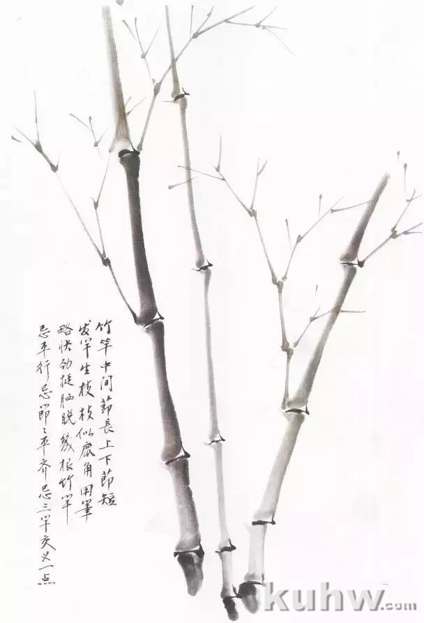 方楚雄画竹技法步骤图，《芥子园画谱》墨竹技法阐释，比郑板桥还会画竹的教程？