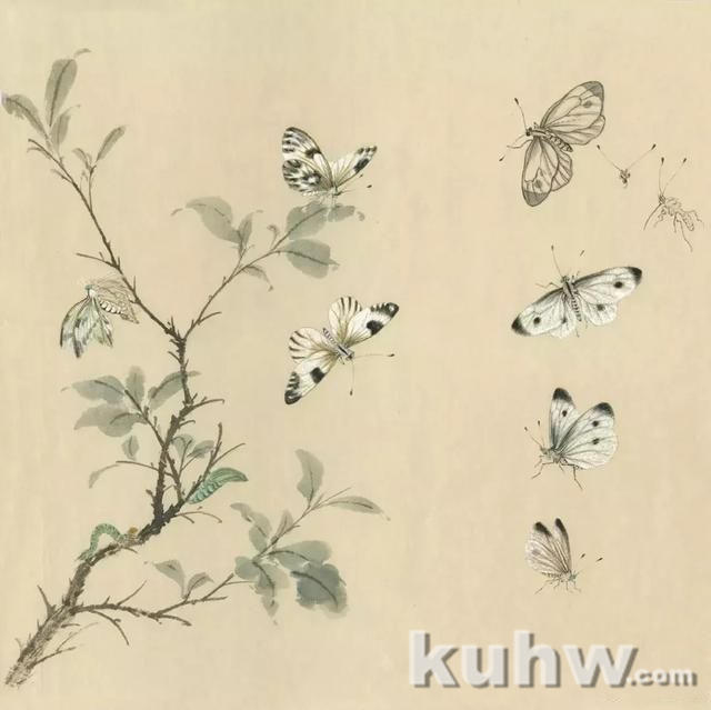 逐花之虫：蝶、蜂画法示范