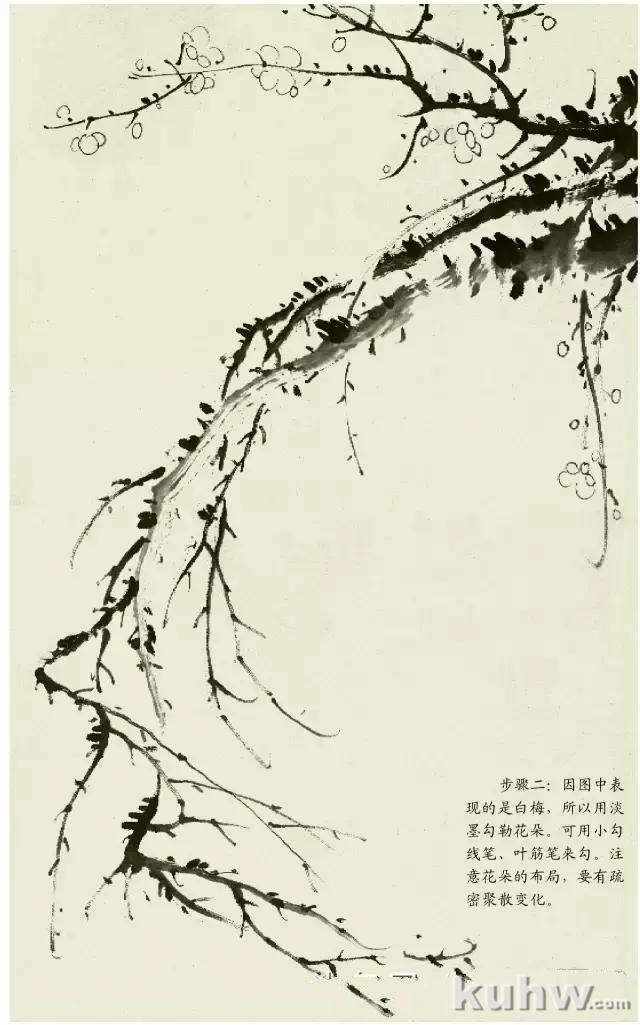 中国画梅花的画法