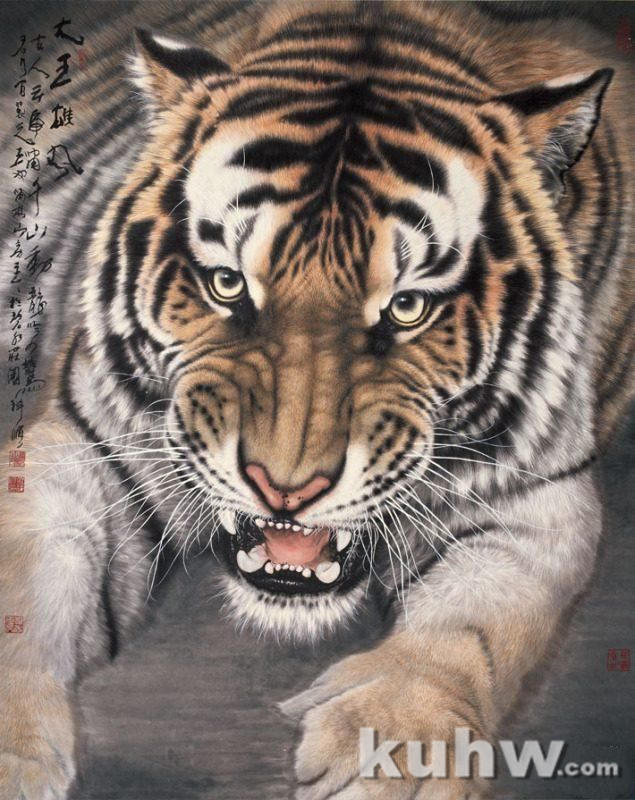 工笔老虎画的绘画过程 工笔画老虎白描步骤与技法