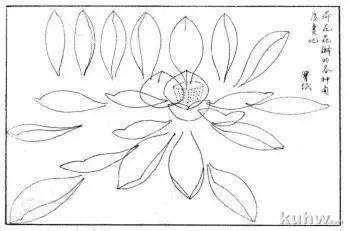 水墨写意荷花和荷叶画法的详细步骤图解，荷花花语