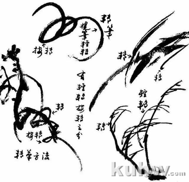 写意花鸟画笔墨技法：笔锋使用详解