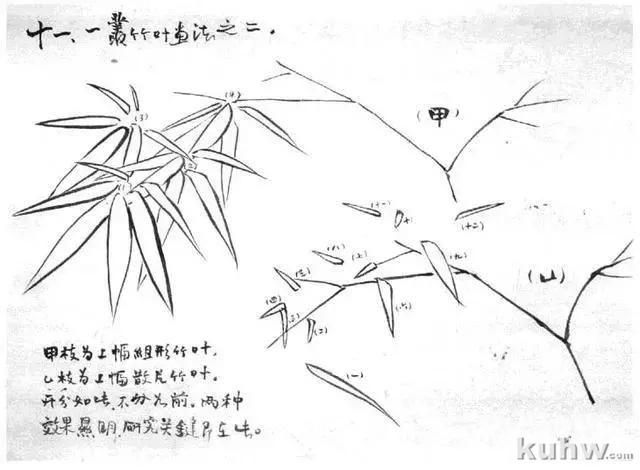 写意花鸟画教程之竹子的画法，国画技法教程竹子画法示例