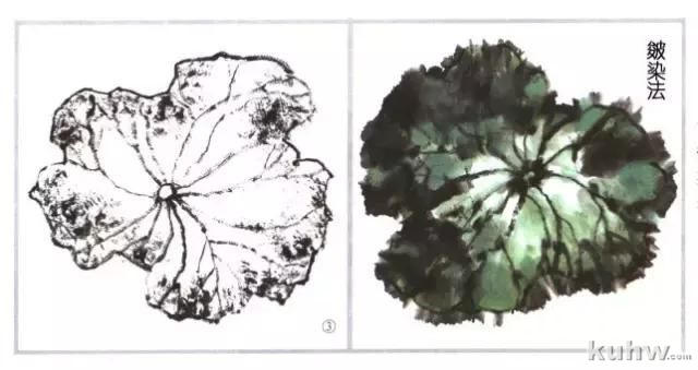 图解漂亮又简单荷叶画法步骤，国画荷叶的画法大全