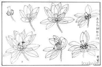 水墨写意荷花和荷叶画法的详细步骤图解，荷花花语