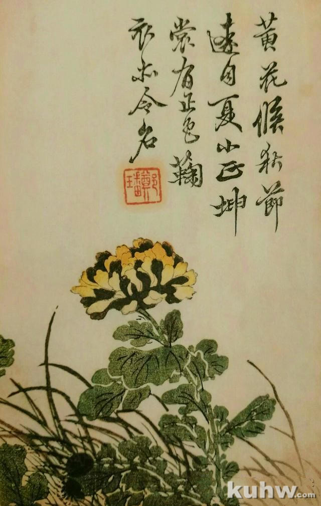 清前名家26种墨菊搭配画法之三，15幅画每天轻松学