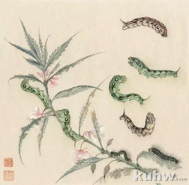 逐花之虫：蝶、蜂画法示范