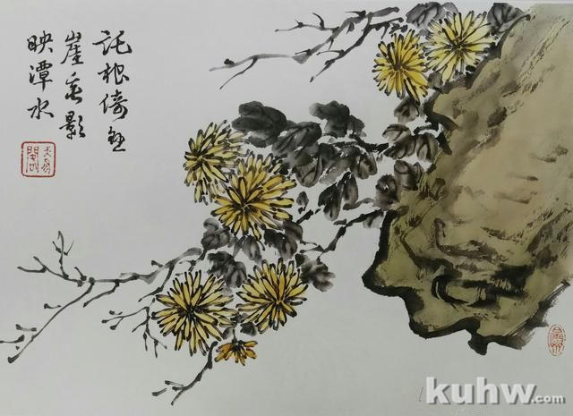 清前名家26种墨菊搭配画法之三，15幅画每天轻松学