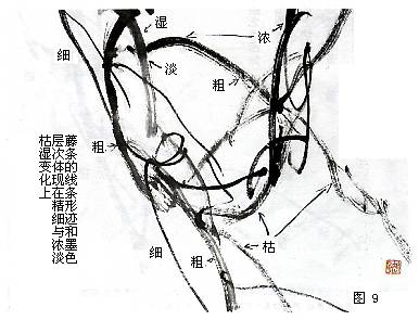 紫藤写生以及创作技法