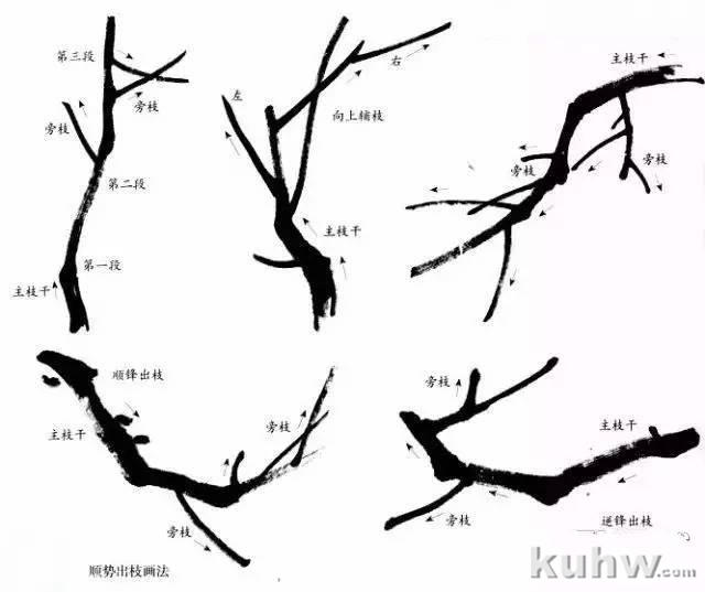 跟着吴昌硕、齐白石学画梅，机会难得！