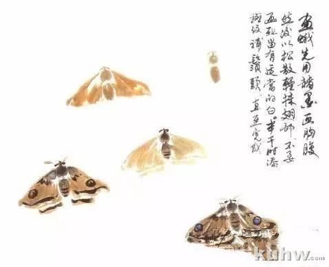 图文教程：写意昆虫画法