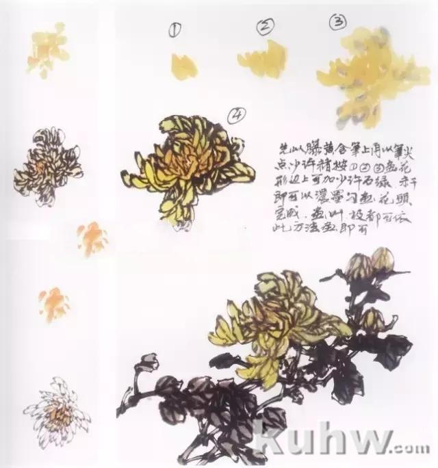 水墨画菊花的画法图文教程，水墨菊花创作技法步骤示范