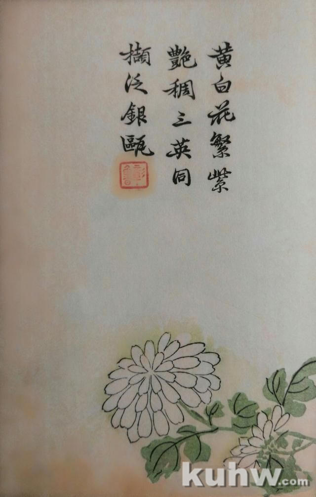 清前名家26种墨菊搭配画法之二，15幅画每天轻松学