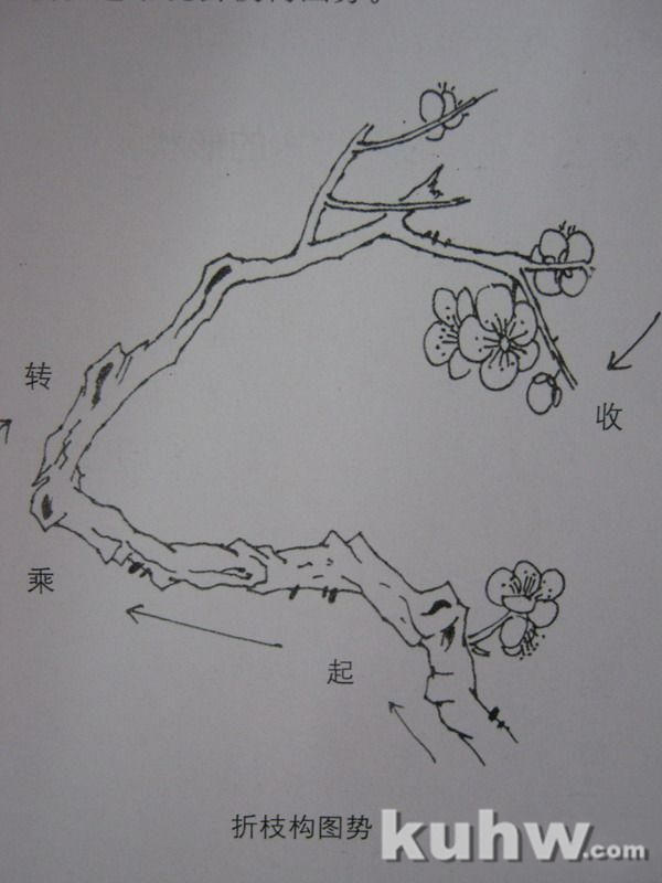 植物花卉写生白描的方法及步骤 花卉素描写生步骤图教程