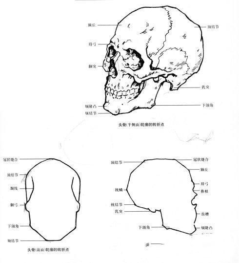 怎样才能画好人体素描？