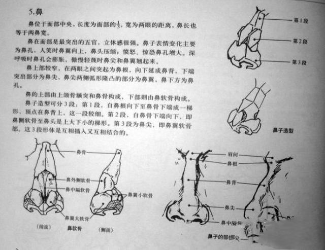 怎样在短时间内学好素描？素描基础教程和素描基础知识的讲解