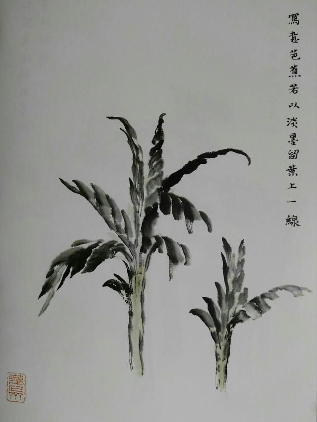 从唐到元名家画芭蕉梧桐棕竹芦苇，点桃梅杏花等十七画法