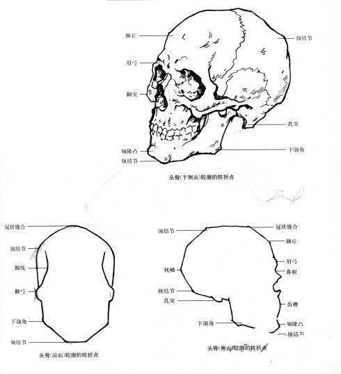 怎样在短时间内学好素描？素描基础教程和素描基础知识的讲解